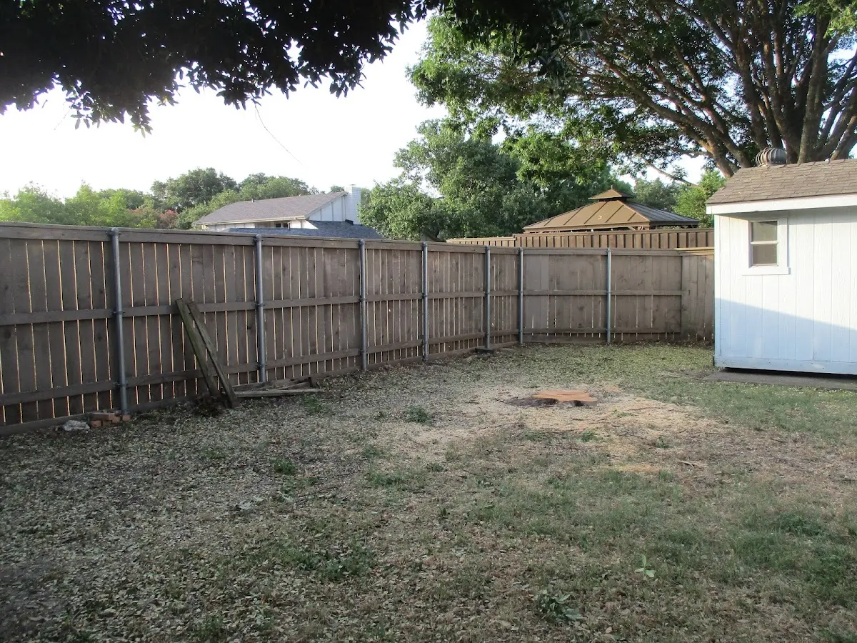 Cleared yard after professional tree removal in Rush